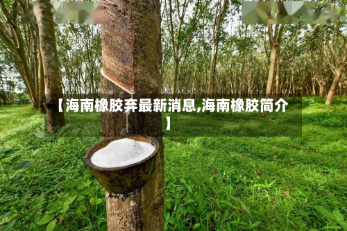 【海南橡胶弃最新消息,海南橡胶简介】-第2张图片