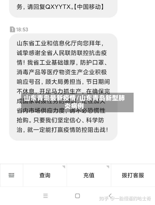山东青岛最新疫情/山东青岛新型肺炎病例-第3张图片