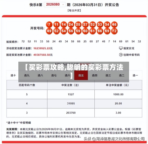 【买彩票攻略,聪明的买彩票方法】-第2张图片