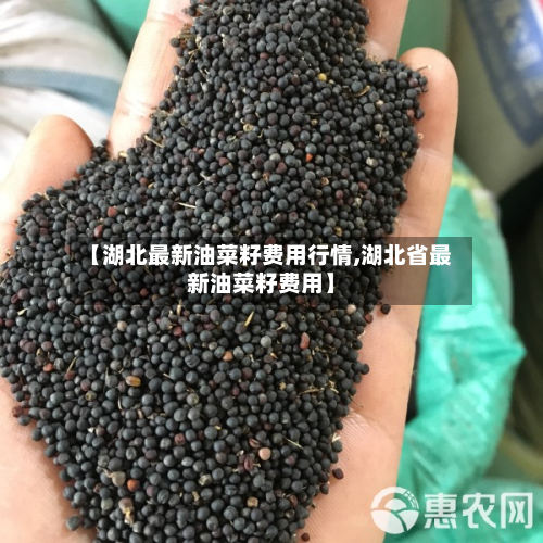 【湖北最新油菜籽费用行情,湖北省最新油菜籽费用】-第3张图片