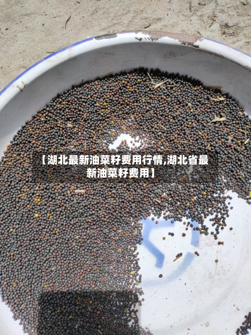 【湖北最新油菜籽费用行情,湖北省最新油菜籽费用】