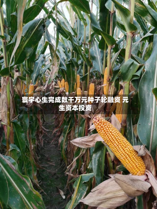 寰宇心生完成数千万元种子轮融资 元生资本投资