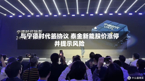 与宁德时代签协议 泰金新能股价涨停并提示风险