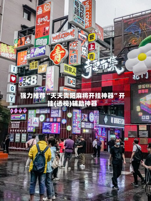 强力推荐“天天贵阳麻将开挂神器	”开挂(透视)辅助神器-第2张图片
