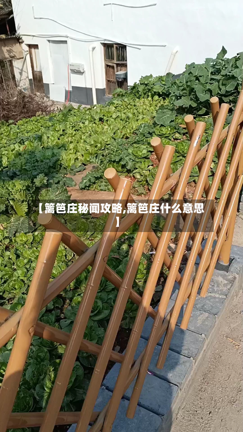 【篱笆庄秘闻攻略,篱笆庄什么意思】-第2张图片