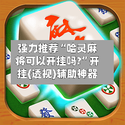 强力推荐“哈灵麻将可以开挂吗?”开挂(透视)辅助神器-第2张图片