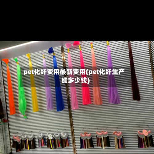 pet化纤费用最新费用(pet化纤生产线多少钱)