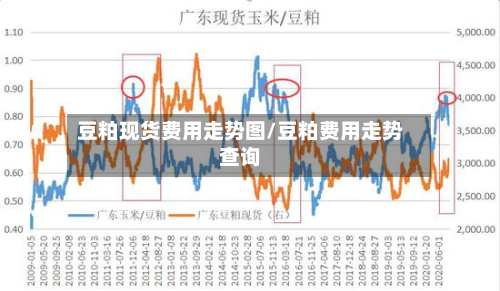 豆粕现货费用走势图/豆粕费用走势查询