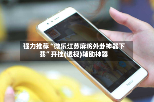 强力推荐“微乐江苏麻将外卦神器下载”开挂(透视)辅助神器-第3张图片