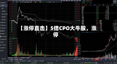 【涨停直击】5倍CPO大牛股，涨停-第3张图片