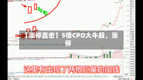 【涨停直击】5倍CPO大牛股	，涨停-第2张图片