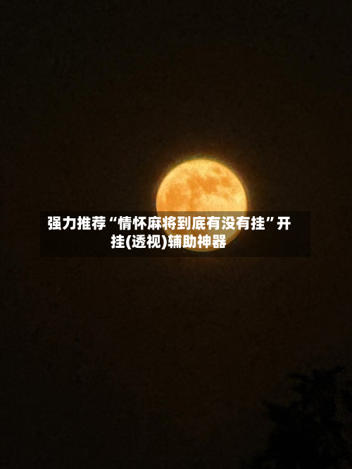 强力推荐“情怀麻将到底有没有挂”开挂(透视)辅助神器-第2张图片