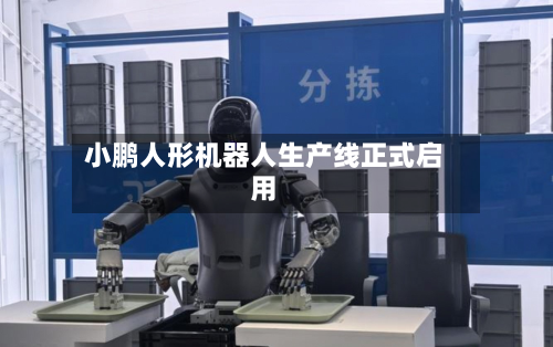 小鹏人形机器人生产线正式启用-第2张图片