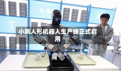 小鹏人形机器人生产线正式启用