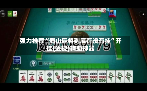 强力推荐“蜀山麻将到底有没有挂	”开挂(透视)辅助神器-第2张图片