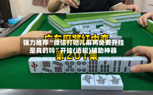 强力推荐“微信打哈儿麻将免费开挂是真的吗”开挂(透视)辅助神器-第3张图片
