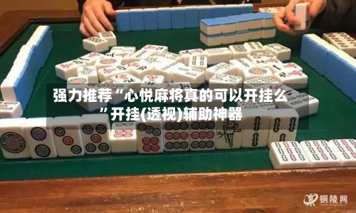强力推荐“心悦麻将真的可以开挂么”开挂(透视)辅助神器-第2张图片