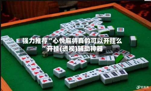 强力推荐“心悦麻将真的可以开挂么”开挂(透视)辅助神器-第3张图片