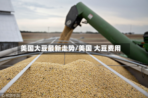 美国大豆最新走势/美国 大豆费用-第2张图片