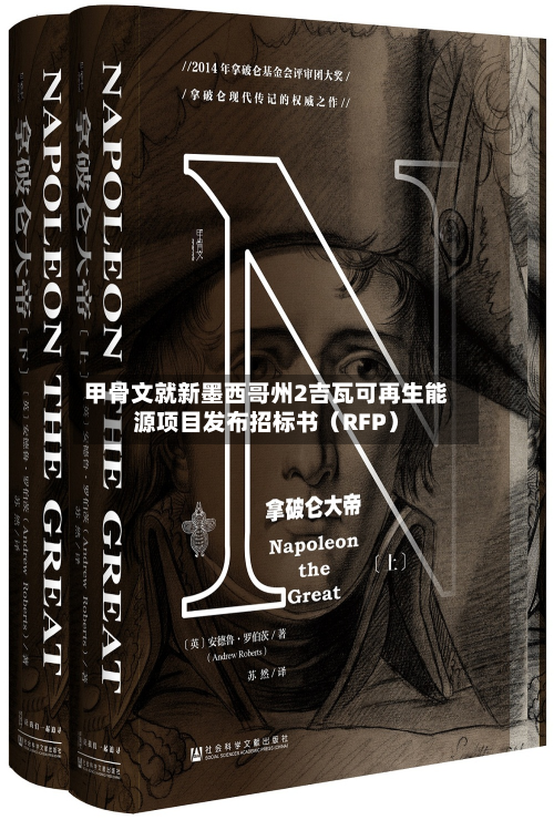 甲骨文就新墨西哥州2吉瓦可再生能源项目发布招标书（RFP）-第2张图片