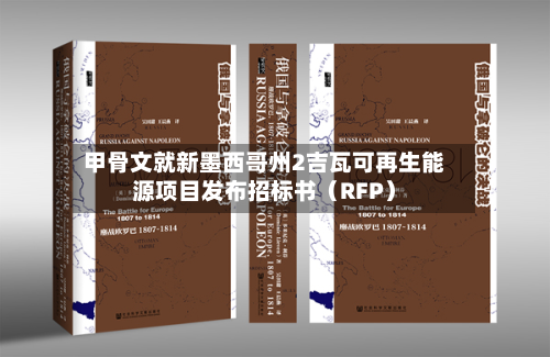 甲骨文就新墨西哥州2吉瓦可再生能源项目发布招标书（RFP）-第3张图片