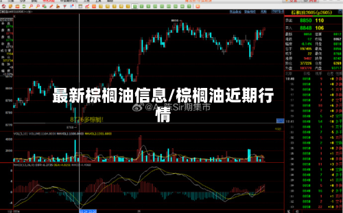 最新棕榈油信息/棕榈油近期行情