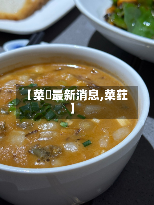 【菜粨最新消息,菜荭】-第2张图片