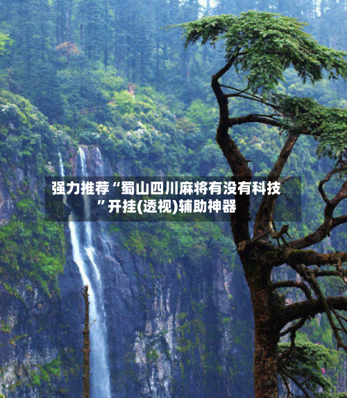 强力推荐“蜀山四川麻将有没有科技”开挂(透视)辅助神器