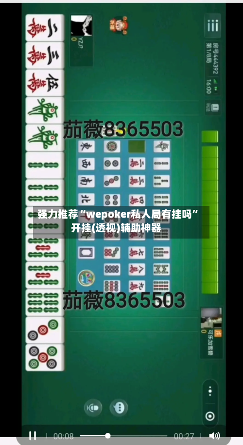 强力推荐“wepoker私人局有挂吗”开挂(透视)辅助神器-第2张图片