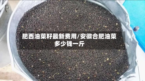 肥西油菜籽最新费用/安徽合肥油菜多少钱一斤-第3张图片