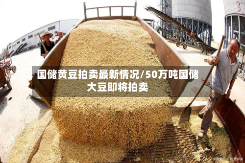国储黄豆拍卖最新情况/50万吨国储大豆即将拍卖