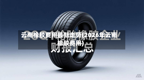 云南橡胶费用最新走势(2026年云南橡胶费用)-第3张图片