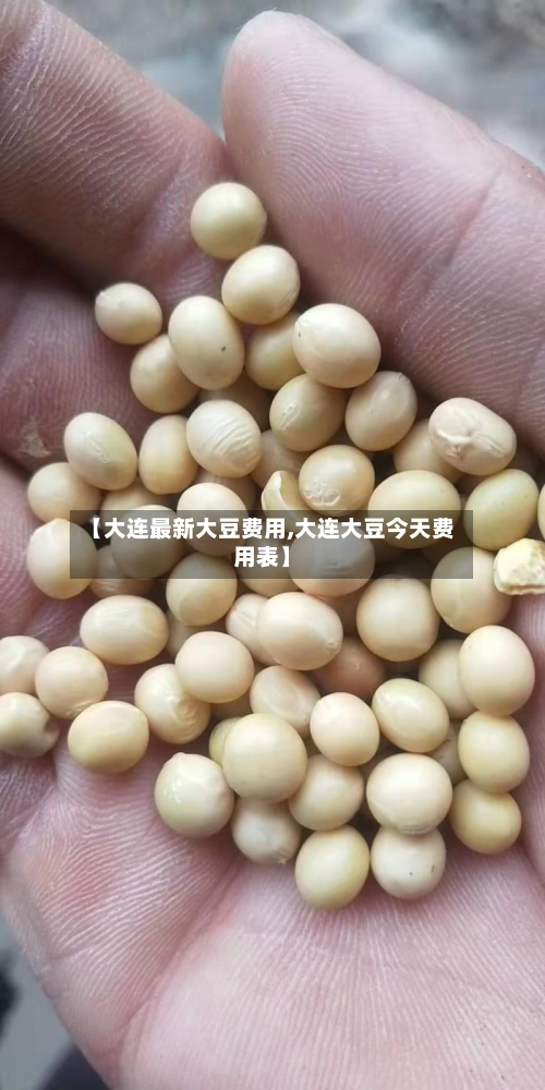 【大连最新大豆费用,大连大豆今天费用表】