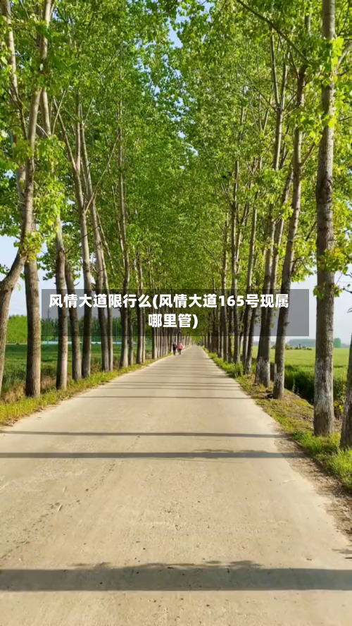 风情大道限行么(风情大道165号现属哪里管)
