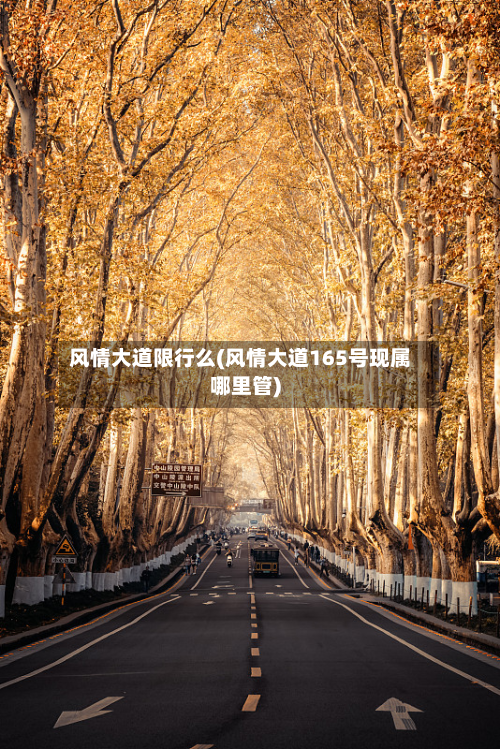 风情大道限行么(风情大道165号现属哪里管)-第3张图片
