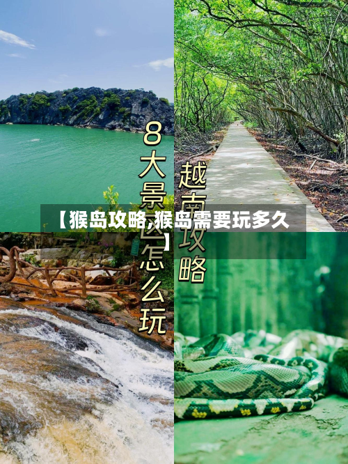 【猴岛攻略,猴岛需要玩多久】-第2张图片