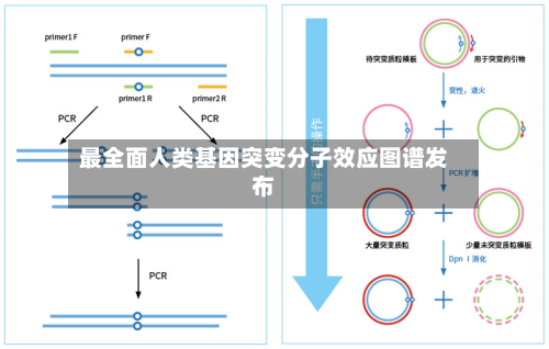 最全面人类基因突变分子效应图谱发布