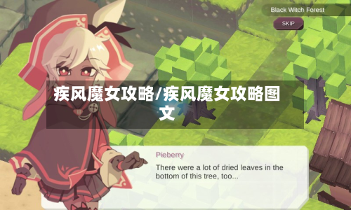 疾风魔女攻略/疾风魔女攻略图文-第2张图片