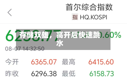 存储双雄，高开后快速跳水-第3张图片