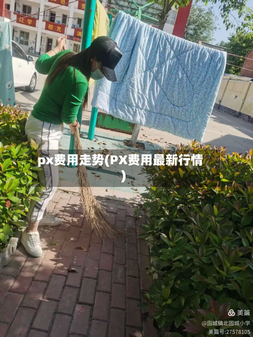 px费用走势(PX费用最新行情)