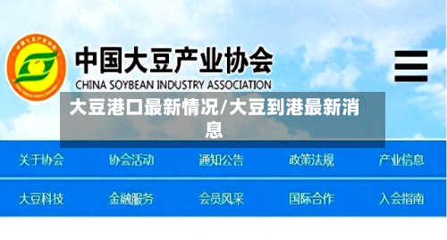 大豆港口最新情况/大豆到港最新消息