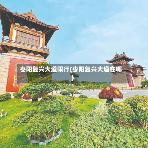 枣阳复兴大道限行(枣阳复兴大道在哪)-第3张图片