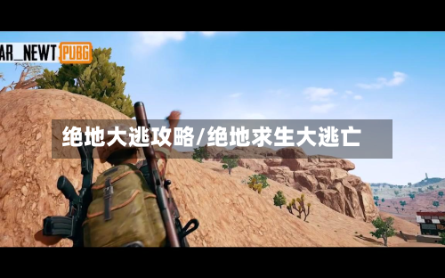 绝地大逃攻略/绝地求生大逃亡