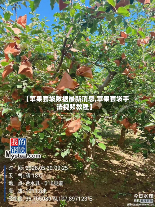 【苹果套袋数据最新消息,苹果套袋手法视频教程】