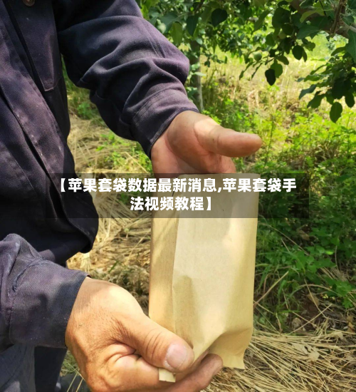 【苹果套袋数据最新消息,苹果套袋手法视频教程】-第3张图片