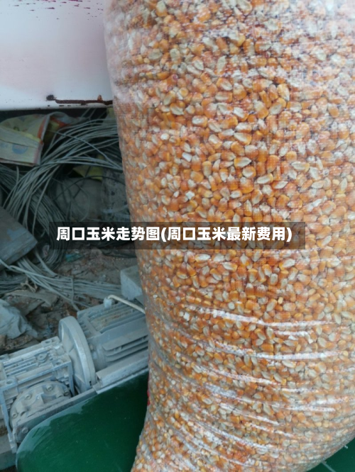 周口玉米走势图(周口玉米最新费用)