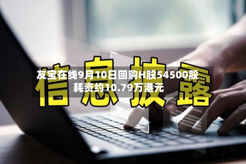 友宝在线9月10日回购H股54500股 耗资约10.79万港元