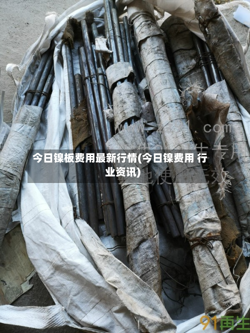 今日镍板费用最新行情(今日镍费用 行业资讯)-第2张图片