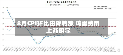 8月CPI环比由降转涨 鸡蛋费用上涨明显