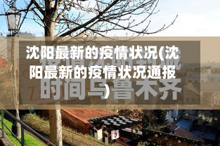 沈阳最新的疫情状况(沈阳最新的疫情状况通报)-第2张图片